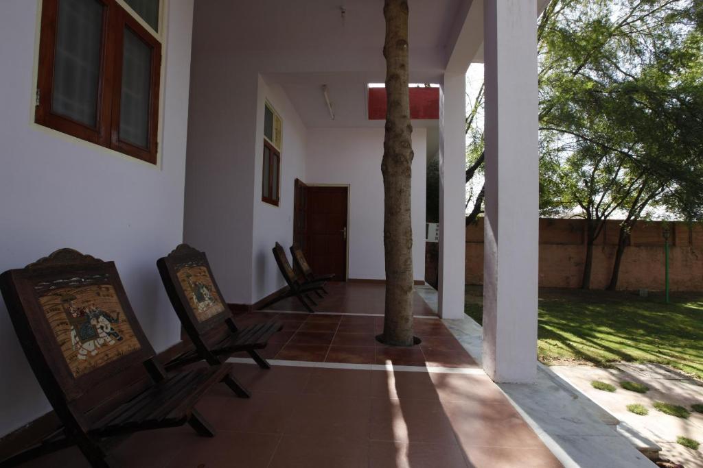 Woods Jaipur
