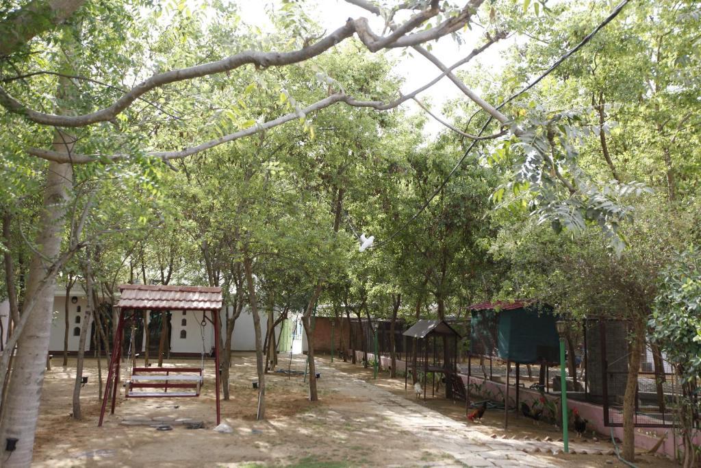 Woods Jaipur